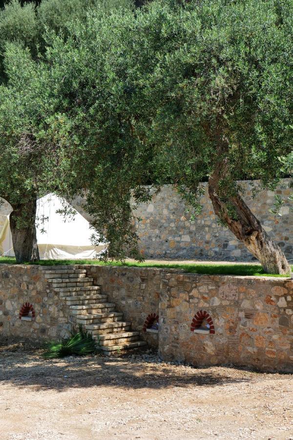 Vila Panorama Piqeras Bed & Breakfast Exterior photo