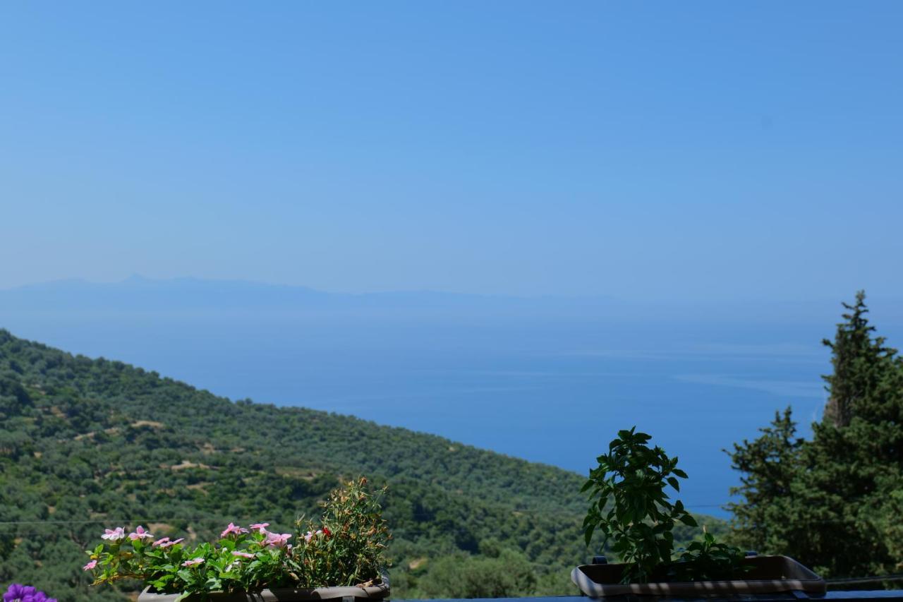 Vila Panorama Piqeras Bed & Breakfast Exterior photo
